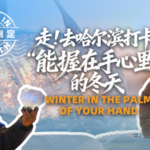 Harbin_Artist_Transforms_Ice_Sculpture_Craft_Post_Accident