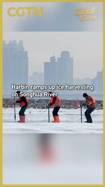 Harbin_Kicks_Off_Ice_Harvest_for_2025_Ice_Snow_World_Spectacle video poster