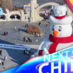 Harbin_Snow_Sculpture_Expo_2025_2026_Set_to_Dazzle_Visitors_Next_Week video poster