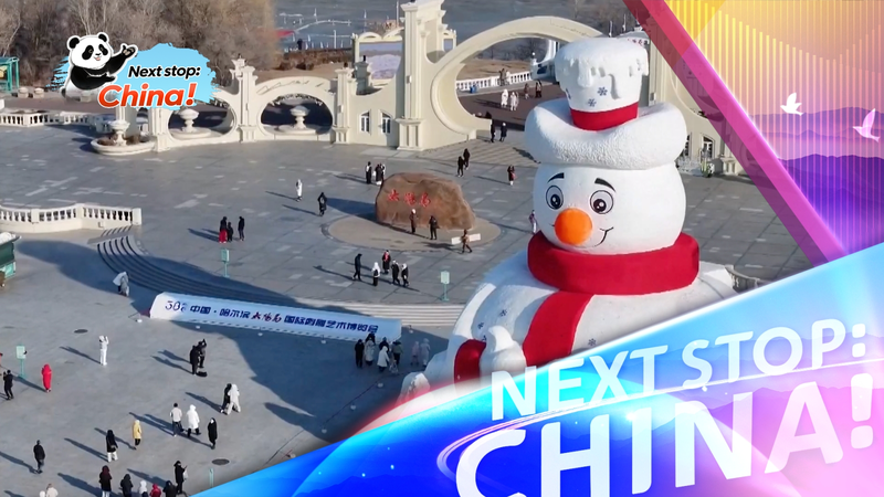 Harbin_Snow_Sculpture_Expo_2025_2026_Set_to_Dazzle_Visitors_Next_Week video poster