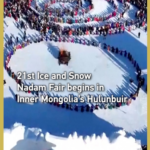 Inner_Mongolia_s_Ice_and_Snow_Nadam_Fair_Blends_Tradition_with_Tech_in_2025 video poster