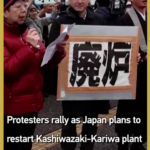 Japan_Approves_Restart_of_World_s_Largest_Nuclear_Plant_Amid_Protests video poster