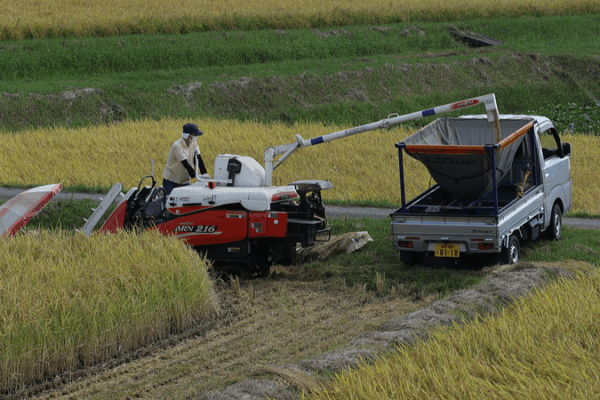 Japan_s_Self_Employed_Farmers_Hit_Record_Decline_in_2025