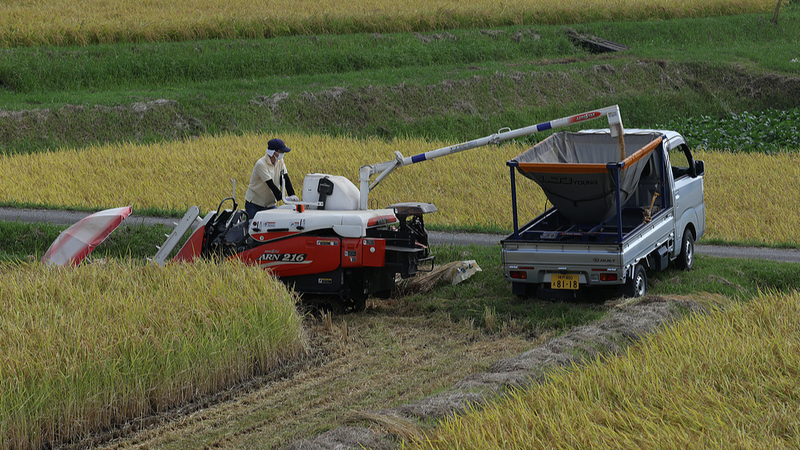 Japan_s_Self_Employed_Farmers_Hit_Record_Decline_in_2025