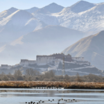 Lhalu_Wetland_Claims_Title_as_World_s_Highest_Urban_Wetland - Khabar Asia Lhalu_Wetland_Claims_Title_as_World_s_Highest_Urban_Wetland