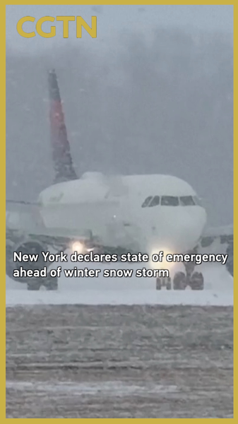 Major_Winter_Storm_Disrupts_NYC_Travel__Triggers_Emergencies video poster