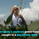 Paraguay_s_Soybean_Diplomacy_Dilemma__Trade_Routes_and_Global_Markets video poster