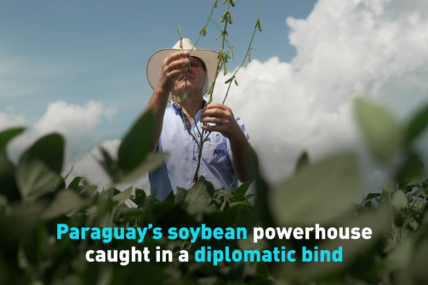 Paraguay_s_Soybean_Diplomacy_Dilemma__Trade_Routes_and_Global_Markets video poster