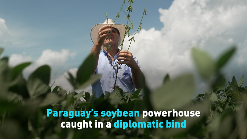 Paraguay_s_Soybean_Diplomacy_Dilemma__Trade_Routes_and_Global_Markets video poster