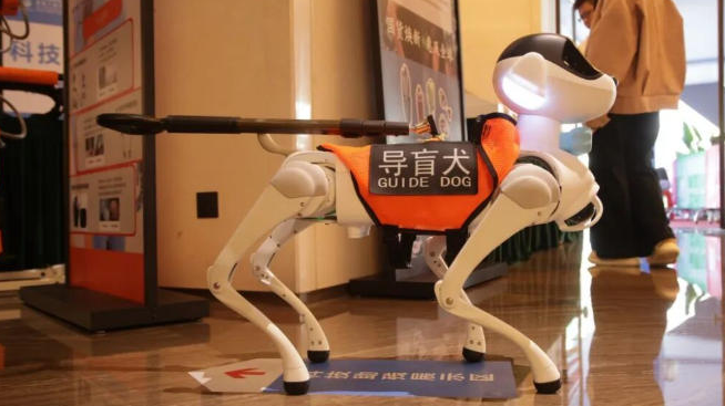 Shenzhen_Showcases_Tech_Driven_Sports_Innovation_at_2025_National_Games