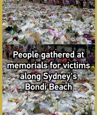 Sydney_Honors_Bondi_Beach_Shooting_Victims_With_Memorials video poster