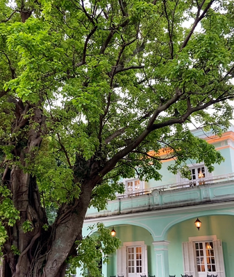 Taipa_Houses__Macao_s_Living_Testament_to_Cultural_Harmony