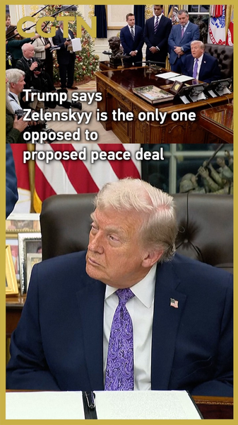 Trump_Claims_Zelenskyy_Sole_Opponent_to_2025_Ukraine_Peace_Deal video poster