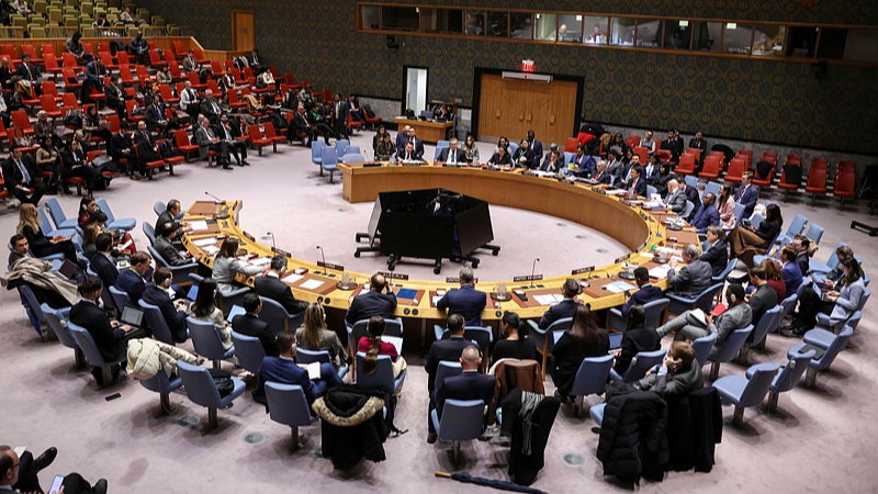 UN_Security_Council_Urges_Restraint_in_Venezuela_Tensions