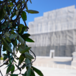 US_Supreme_Court_to_Rule_on_Trump_s_Birthright_Citizenship_Policy