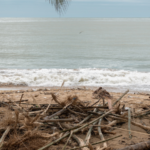 Vietnam_s_2025_Natural_Disasters_Cause__3_9B_Losses__409_Fatalities - Khabar Asia Vietnam_s_2025_Natural_Disasters_Cause__3_9B_Losses__409_Fatalities