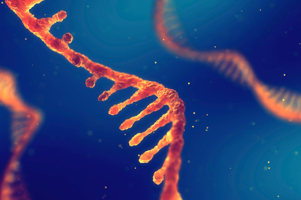 Viral_RNA__Trojan_Horse__Uncovered_in_Groundbreaking_Host_Hijacking_Study