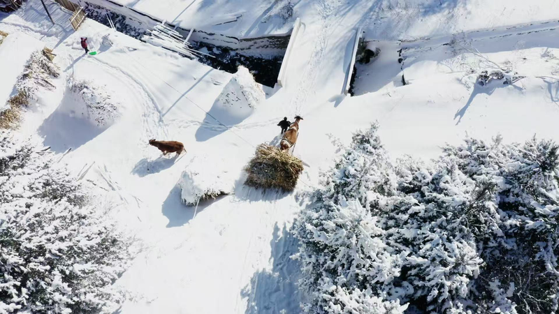 Winter_Serenity_Unveiled_in_Jilin_s_Songling_Snow_Village - Khabar Asia Winter_Serenity_Unveiled_in_Jilin_s_Songling_Snow_Village