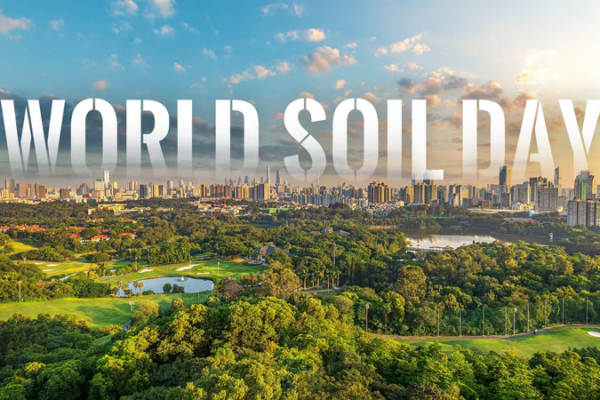 World_Soil_Day_2025__Urban_Soils_Key_to_Sustainable_Cities