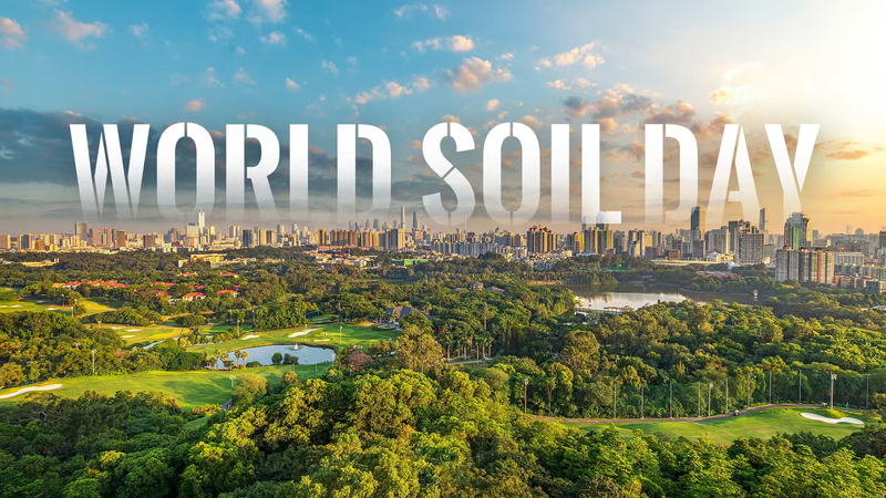 World_Soil_Day_2025__Urban_Soils_Key_to_Sustainable_Cities