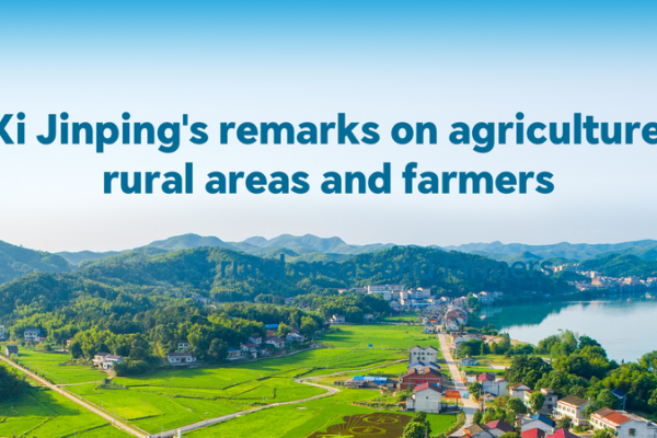 Xi_Jinping_Prioritizes_Rural_Revitalization_in_2025_Agricultural_Strategy