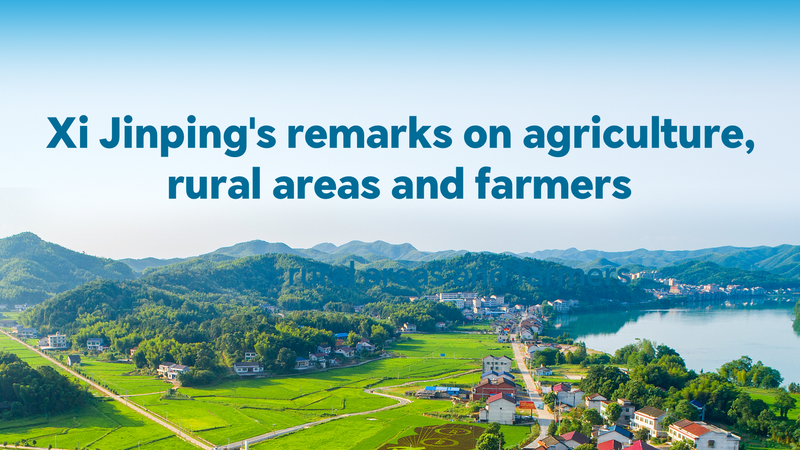 Xi_Jinping_Prioritizes_Rural_Revitalization_in_2025_Agricultural_Strategy