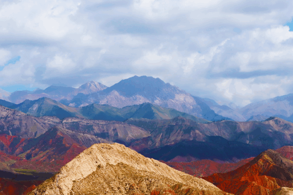 Xinjiang_Forum_Boosts_Central_Asia_Trade_Ties_in_2025