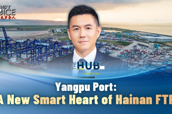 Yangpu_Port_Emerges_as_Smart_Hub_of_Hainan_Free_Trade_Port_in_2025 video poster