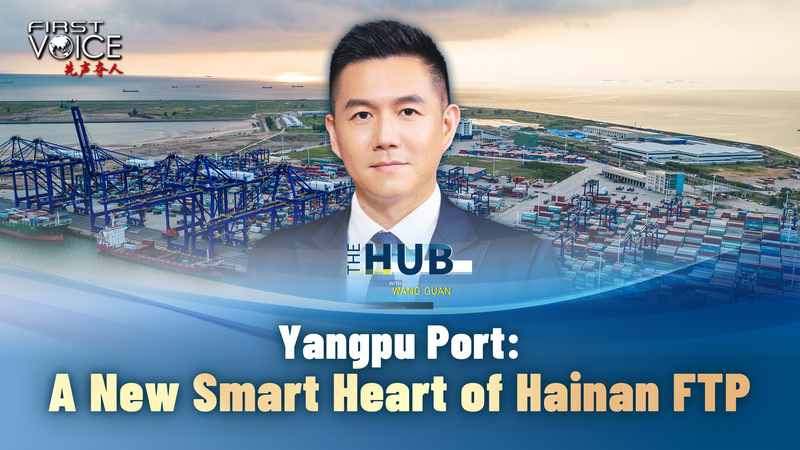Yangpu_Port_Emerges_as_Smart_Hub_of_Hainan_Free_Trade_Port_in_2025 video poster