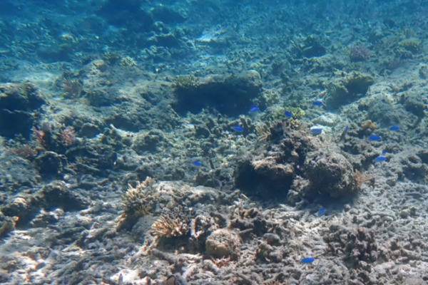 2025_Ocean_Heat_Hits_Record_High__Fueling_Extreme_Weather