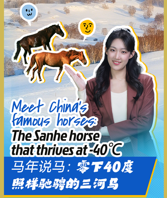 China's Sanhe Horses: Thriving in -40℃ and Redefining Resilience video poster