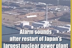 Alarm_Halts_Restart_of_Japan_s_Largest_Nuclear_Plant video poster
