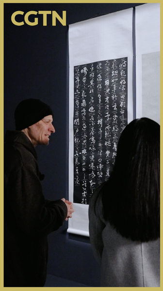 American_Artist_Bridges_Cultures_Through_Bilingual_Calligraphy_in_Beijing_Exhibition video poster