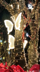 Beijing_s_Shougang_Park_Unveils_Enchanting_Winter_Wonderland_for_2026_Season video poster