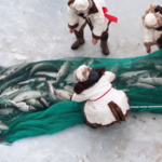 Bosten_Lake_Winter_Festival_Celebrates_Tradition_and_Tourism_in_Xinjiang video poster