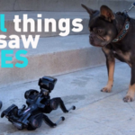 CES_2026_Unveils_Cutting_Edge_Tech_Innovations_Shaping_Asia_s_Future_poster - Khabar Asia CES_2026_Unveils_Cutting_Edge_Tech_Innovations_Shaping_Asia_s_Future video poster