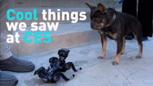 CES_2026_Unveils_Cutting_Edge_Tech_Innovations_Shaping_Asia_s_Future video poster