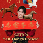 CGTN_Launches__All_Things_Horses__Challenge_Ahead_of_2026_Spring_Festival video poster