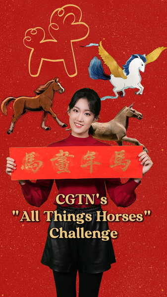 CGTN_Launches__All_Things_Horses__Challenge_Ahead_of_2026_Spring_Festival video poster