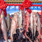 Chagan_Lake_Winter_Festival_Sets_Record_with__238K__First_Fish__Auction - Khabar Asia Chagan_Lake_Winter_Festival_Sets_Record_with__238K__First_Fish__Auction