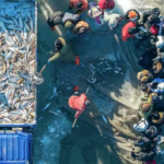 Chagan_Lake_Winter_Fishing_Tradition_Draws_Global_Attention_in_2026 video poster