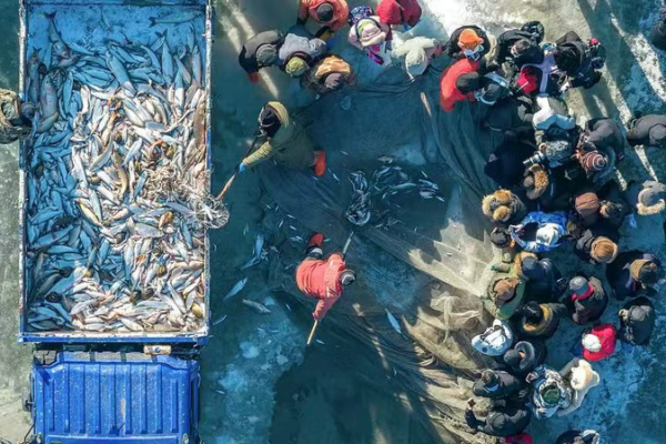 Chagan_Lake_Winter_Fishing_Tradition_Draws_Global_Attention_in_2026 video poster