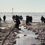 Chagan_Lake_Winter_Spectacle_Kicks_Off_2026_with_Ice_Fishing_Festival video poster