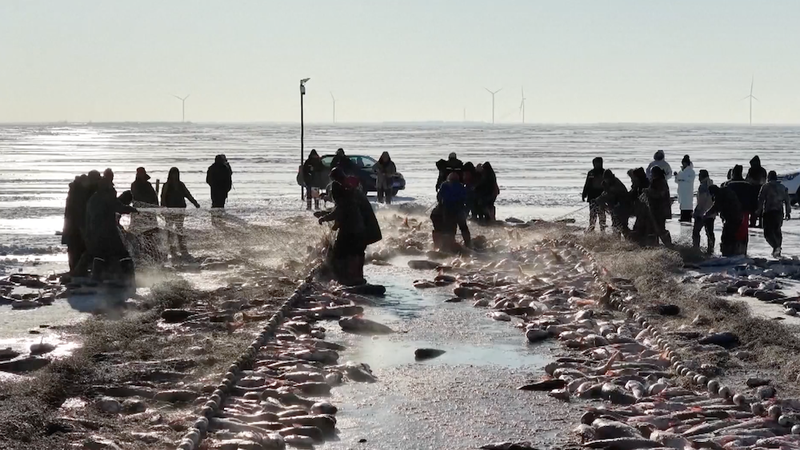 Chagan_Lake_Winter_Spectacle_Kicks_Off_2026_with_Ice_Fishing_Festival_poster - Khabar Asia Chagan_Lake_Winter_Spectacle_Kicks_Off_2026_with_Ice_Fishing_Festival video poster