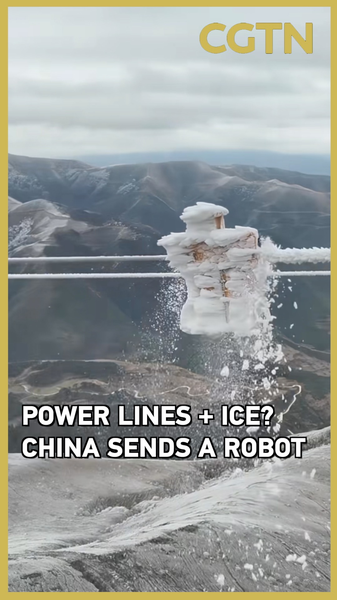 China_Deploys_High_Altitude_Robots_to_Safeguard_Power_Lines video poster