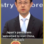 China_Invites_Japanese_Panda_Fans_as_Tokyo_Zoo_Prepares_for_Return_of_Twin_Cubs video poster