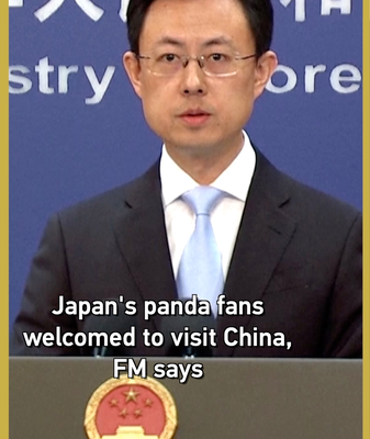 China_Invites_Japanese_Panda_Fans_as_Tokyo_Zoo_Prepares_for_Return_of_Twin_Cubs video poster