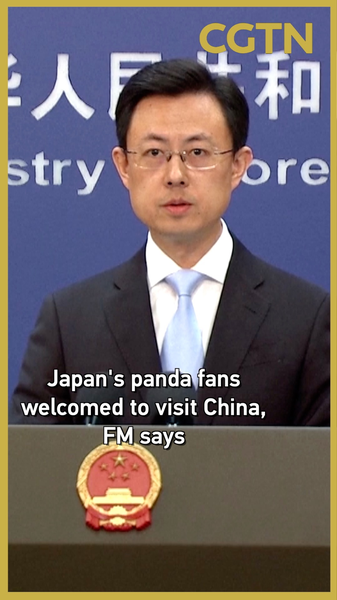 China_Invites_Japanese_Panda_Fans_as_Tokyo_Zoo_Prepares_for_Return_of_Twin_Cubs video poster