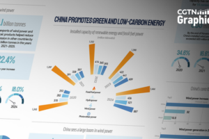China_Maintains_Global_Wind_Power_Lead_for_15th_Consecutive_Year