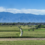 China_Reports_Sustained_Ecological_Progress_in_Key_Regions